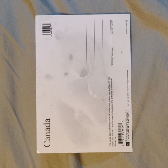Canada Polar Bear Postcard 3 for $10 - Picture 4 of 5